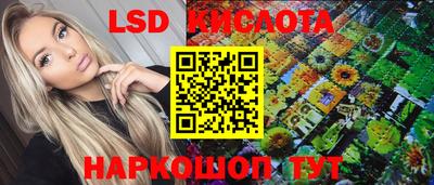 гашик Берёзовский