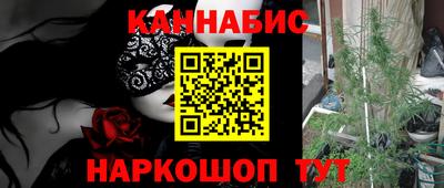 гашик Берёзовский