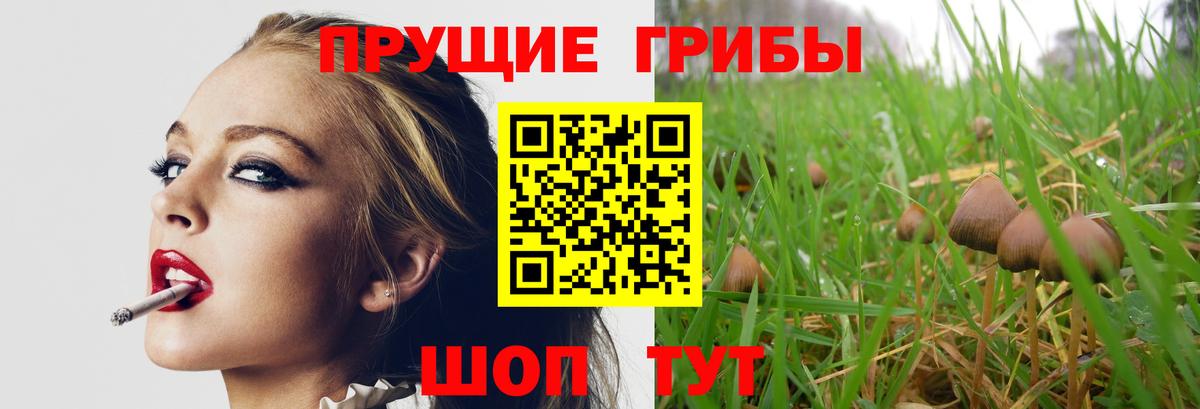 Калач-на-Дону  Галлюциногенные грибы ЛСД  Вход с VPN 